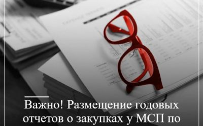 Важно! Размещение годовых отчетов о закупках у МСП по итогам 2024 года в рамках 223-ФЗ