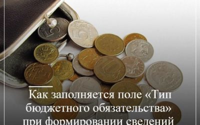 Как заполняется поле “Тип бюджетного обязательства” при формировании сведений о принятых бюджетных обязательствах?