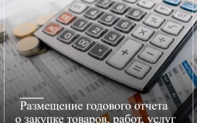 Размещение годового отчета о закупке товаров, работ, услуг у субъектов МСП по Закону № 223-ФЗ